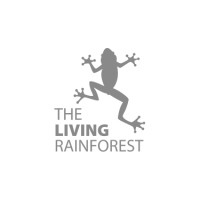 Living Rainforest